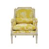 A Pair of Impression Armchair in Yellow Toile De Jouy Brocade